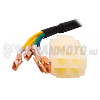 Статор генератора RegulMoto двиг. ZS 172FMM / ZS 172FMM PR / DC CDI 