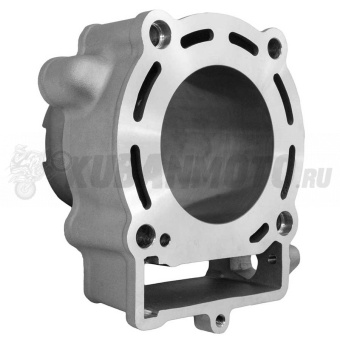 Цилиндр ZONGSHENG двиг. ZS177FMM / NC250 