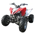 КВАДРОЦИКЛЫ ATV КИТАЙ 50-250сс